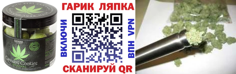 дарк нет наркотические препараты  Новый Уренгой  Cannafood марихуана  купить  цена 