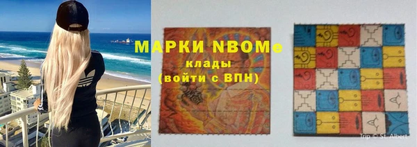 индика Балабаново