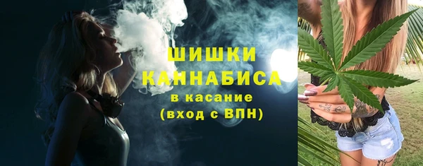 индика Балабаново