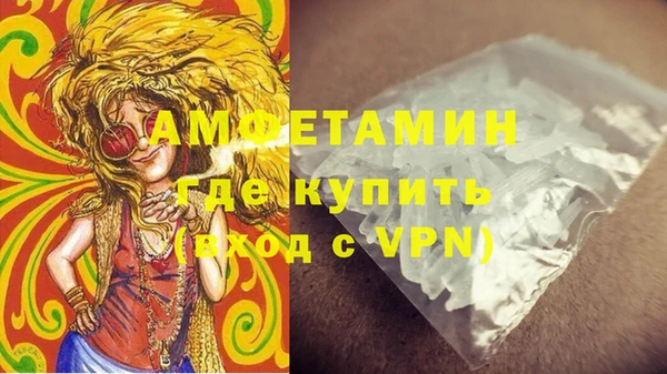индика Балабаново