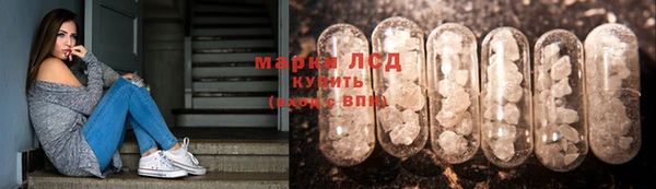 индика Балабаново