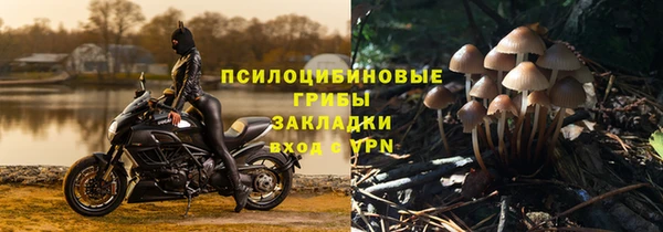 MESCALINE Баксан