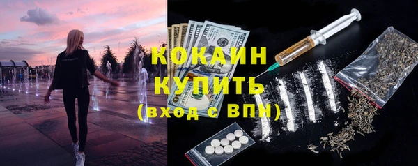 индика Балабаново