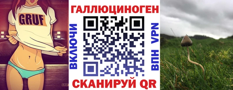 ОМГ ОМГ tor  Новый Уренгой  Галлюциногенные грибы MAGIC MUSHROOMS 